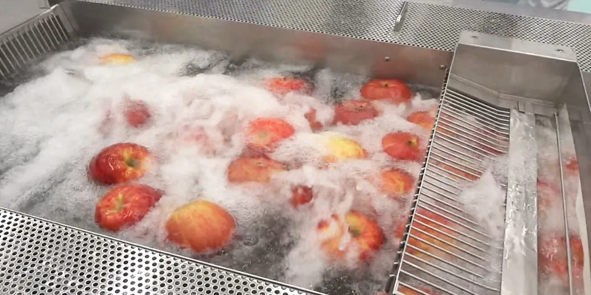 بررسی دستگاه شستشو مواد غذایی