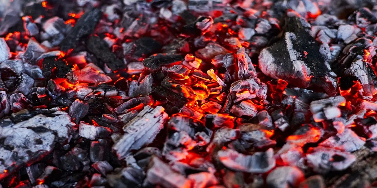بررسی دستگاه بسته بندی ذغال